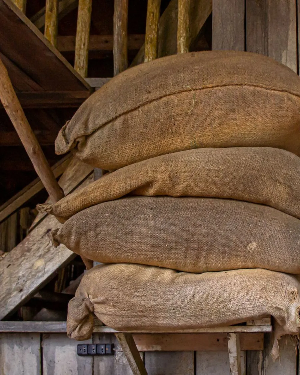 Jute sacks of graded pulses stacked in dry storage